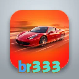 br333