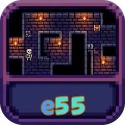 e55